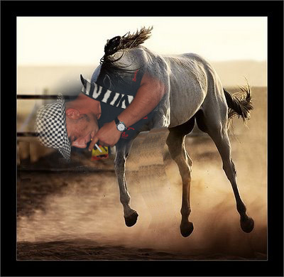 20091021005352-un-caballo-desbocado-1.jpg